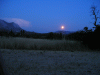 La nuit dans le jardin